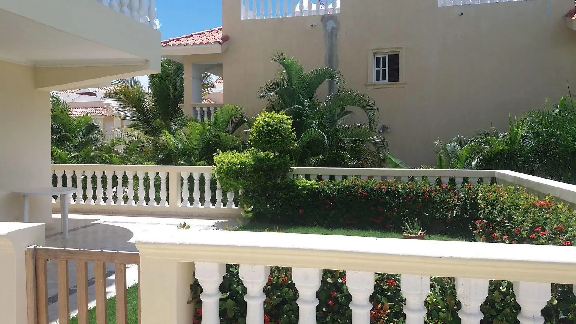 Las Palmeras / Las Estrellas Boca Chica